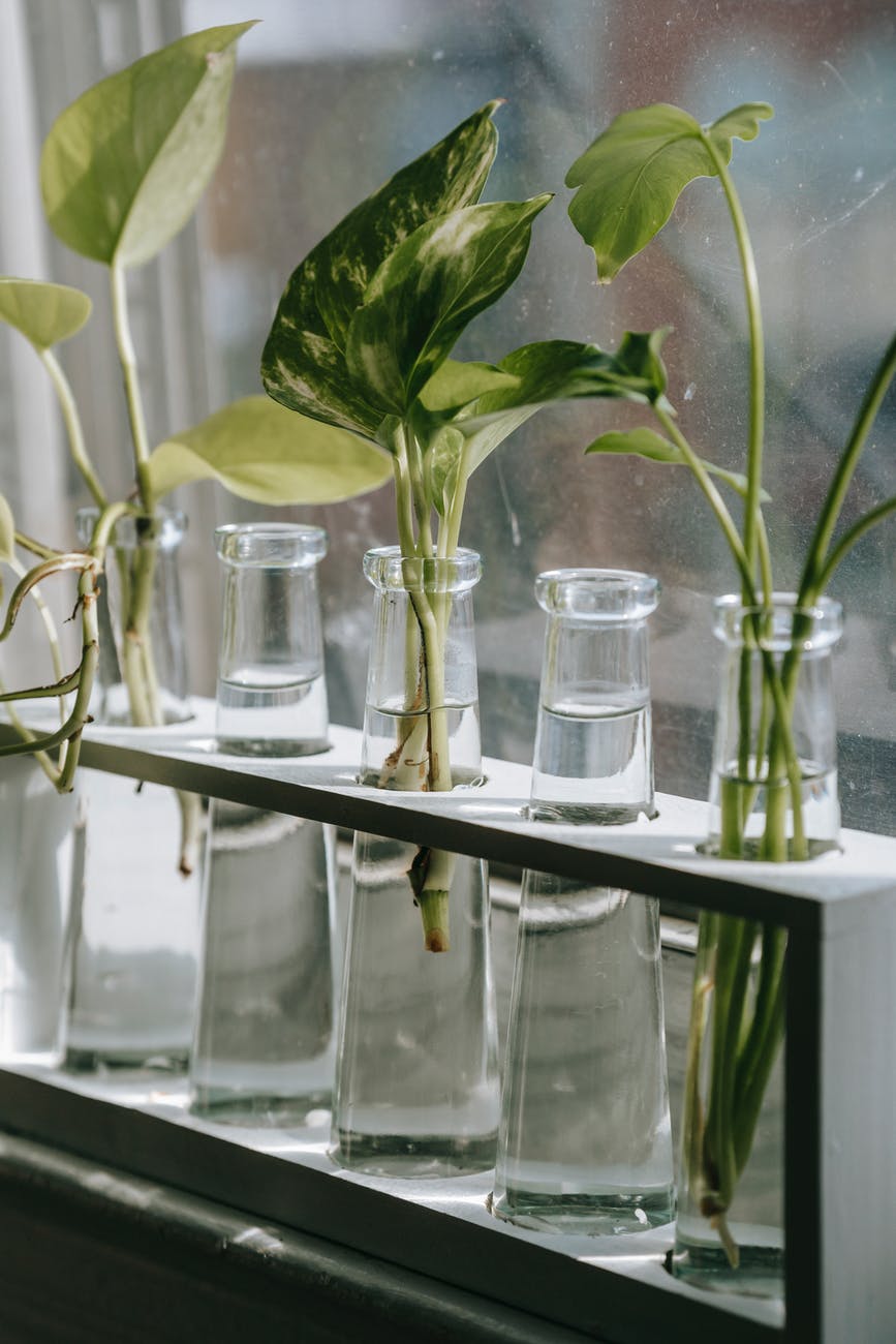 The Importance of Spiritually Growing