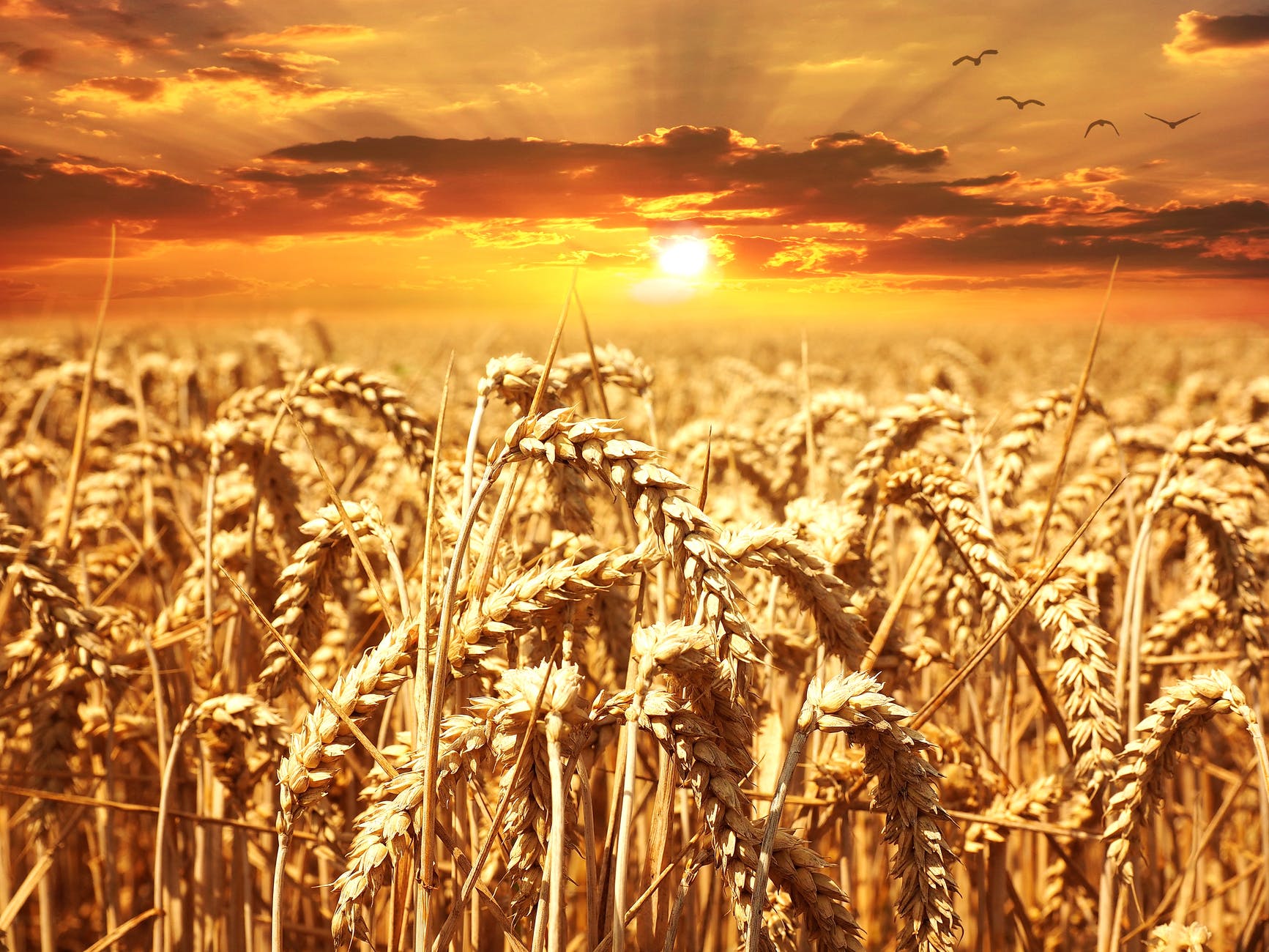 What We Can Learn From Egyptโs Biblical Famine