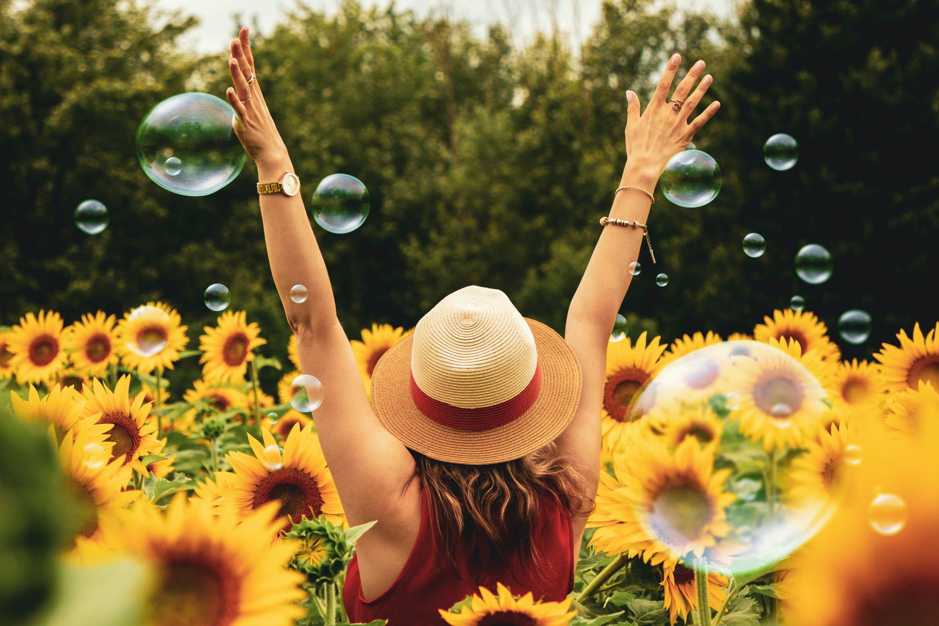Having a Heart of Gratitude-You Are Blessed!&nbsp;
