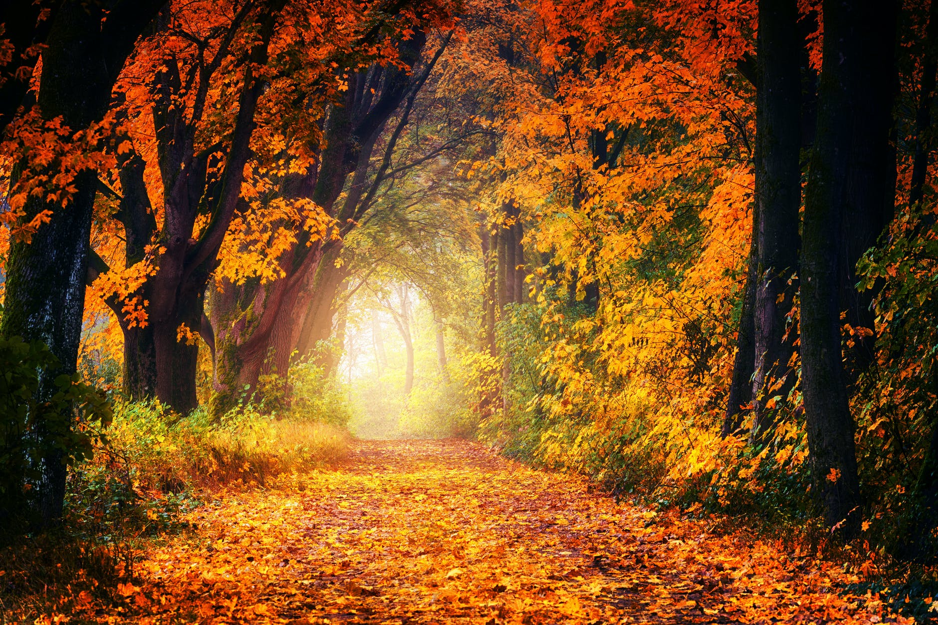 Are you on the Narrow Road or the Wide & Broad Road?&nbsp;