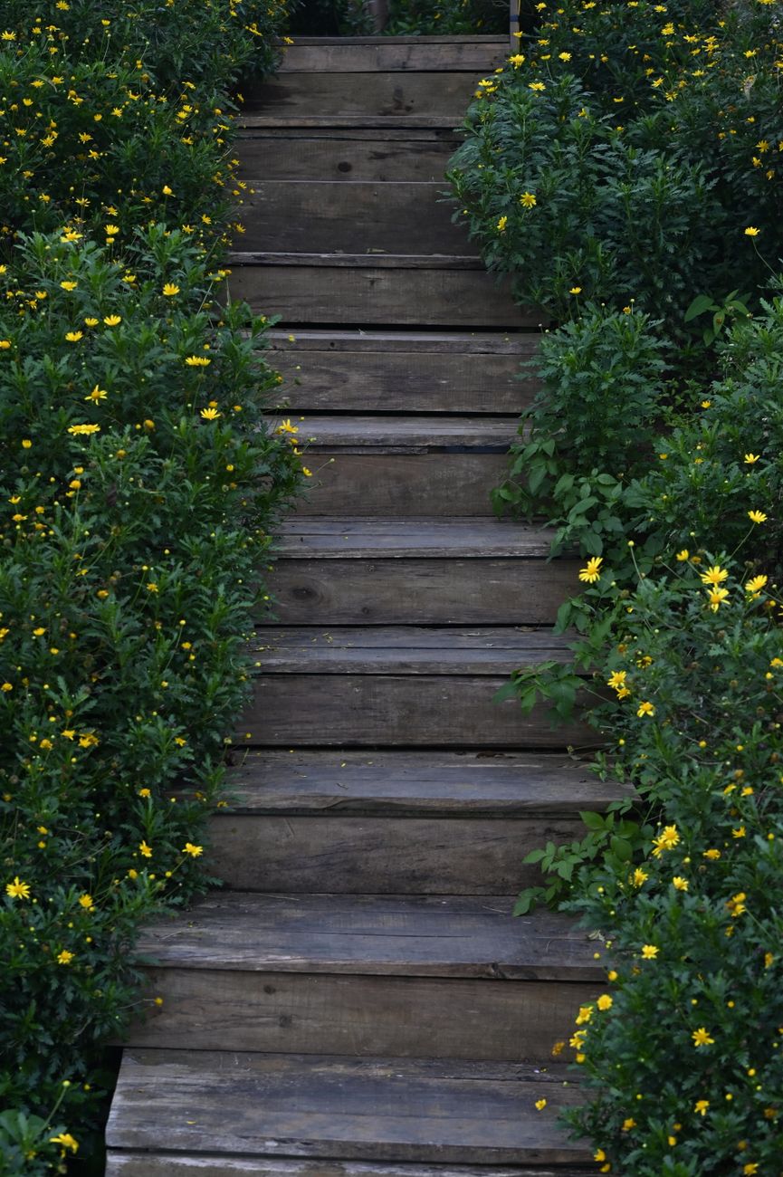 The Dangers of Organized Religion: A Call to Authentic Faith
