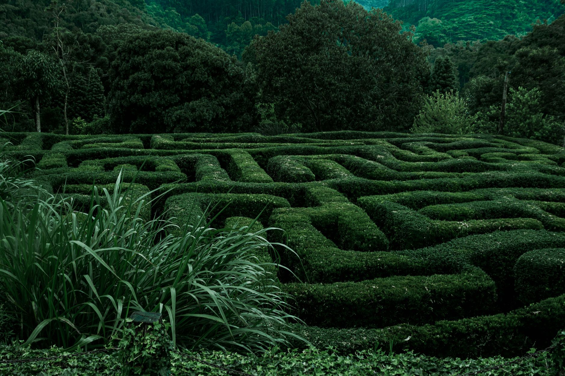 Navigating Life’s Challenges with God’s Guidance
