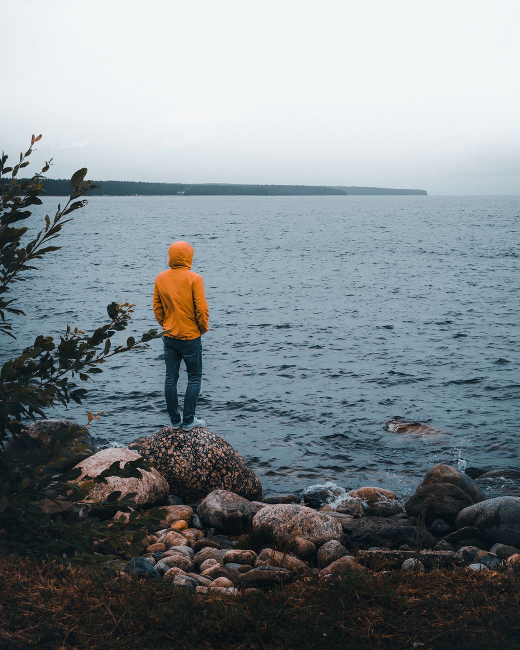 Healing from Rejection: Embracing God’s Plan